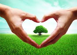 宏扬中华文化 爱心慈善晚宴义工招募中